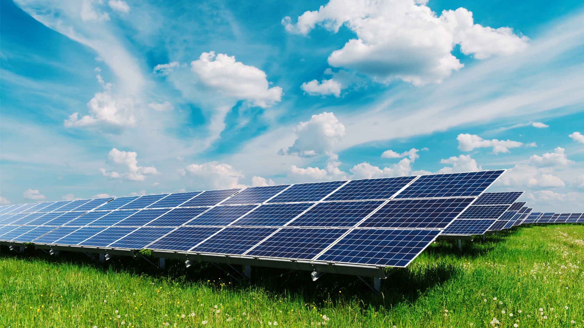 Exploring Types of Solar Tracking Systems: Elevating Your Business Solar Efficiency